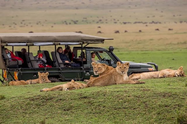 Description-of-Masai-Mara-National-Reserve