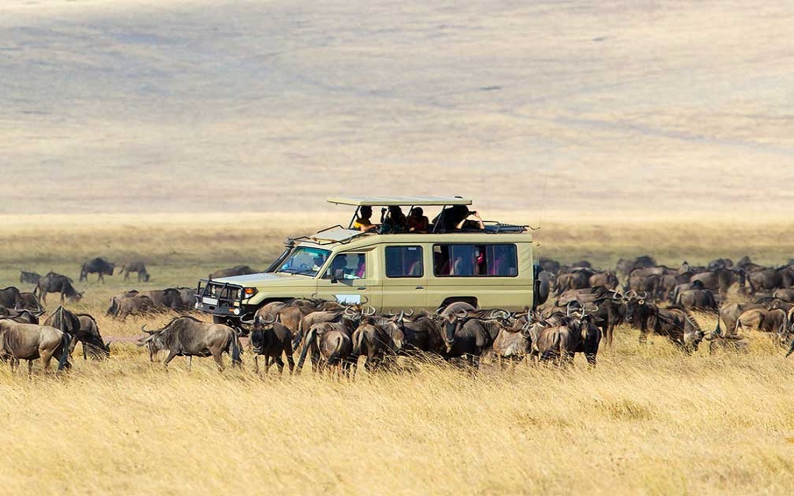 Serengeti-National-Park-1