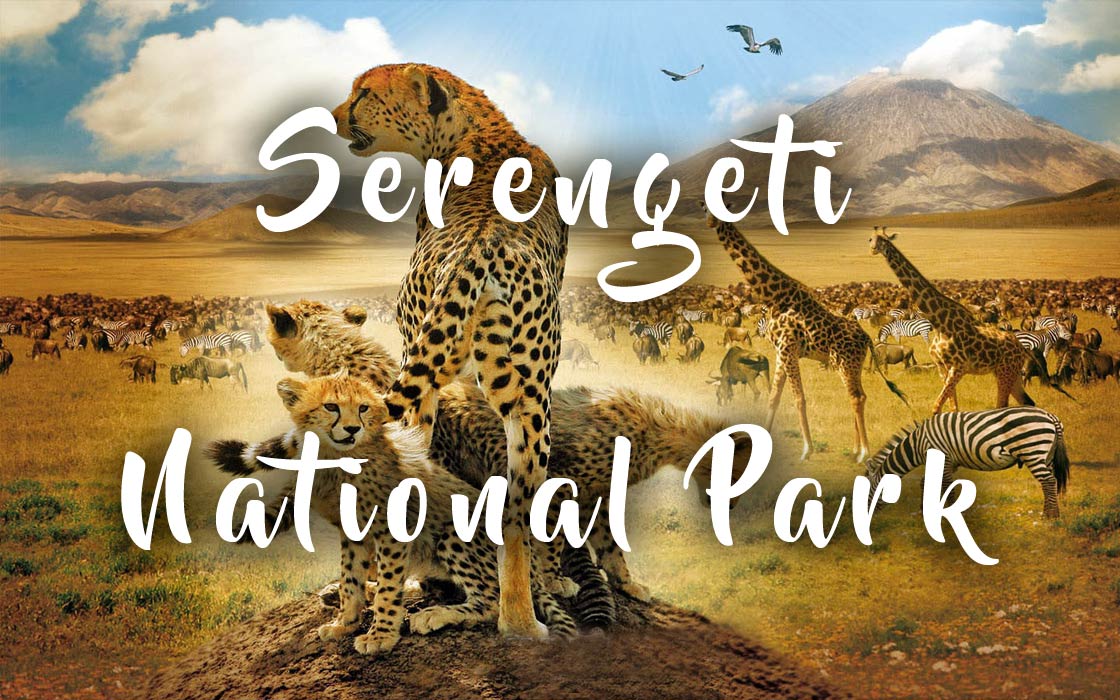 Serengeti National Park