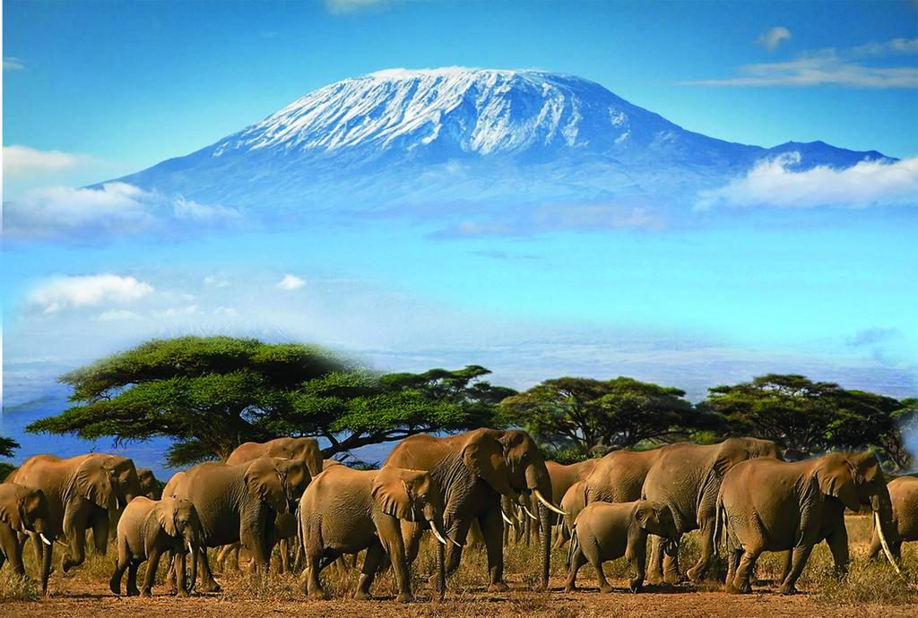 amboseli-national-park