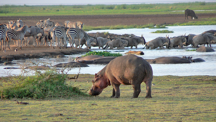 lake_manyara_park