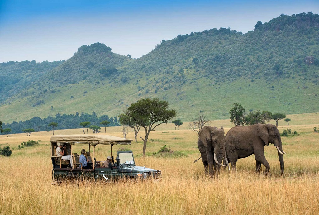 seeing-elephants-on-a-game-drive-in-the-masai-mara
